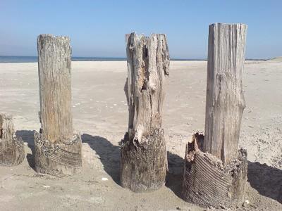 Glebbe 66 _ Hus Suennschien Leilighet Zingst Eksteriør bilde